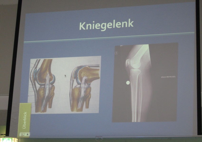 2. Bild