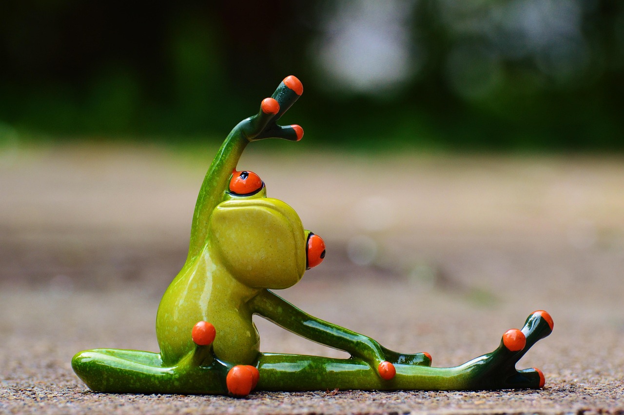 sports, gymnastics, frog, fun, fitness, fit, athletic, training, gymnastics, gymnastics, gymnastics, frog, frog, frog, frog, fitness, fitness, fitness, fitness, fitness, fit, fit, training, training, training
